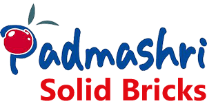 PadmaShri Solid Bricks